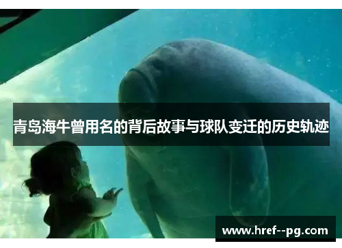 青岛海牛曾用名的背后故事与球队变迁的历史轨迹