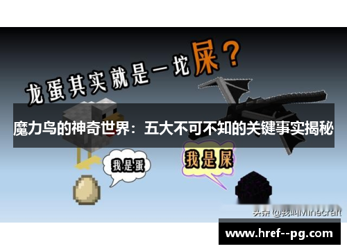 魔力鸟的神奇世界：五大不可不知的关键事实揭秘